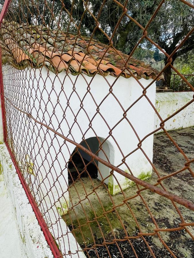 Casa Do Martinho Pensionat Castelo de Vide Eksteriør billede